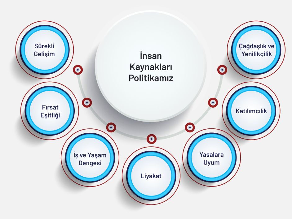 Tei Alloy Ik Politika